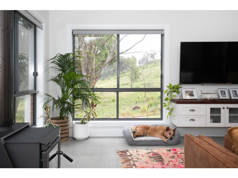 190 Porters Creek Road, Milton NSW 2538