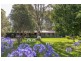 46 Voyager Crescent, Bawley Point NSW 2539