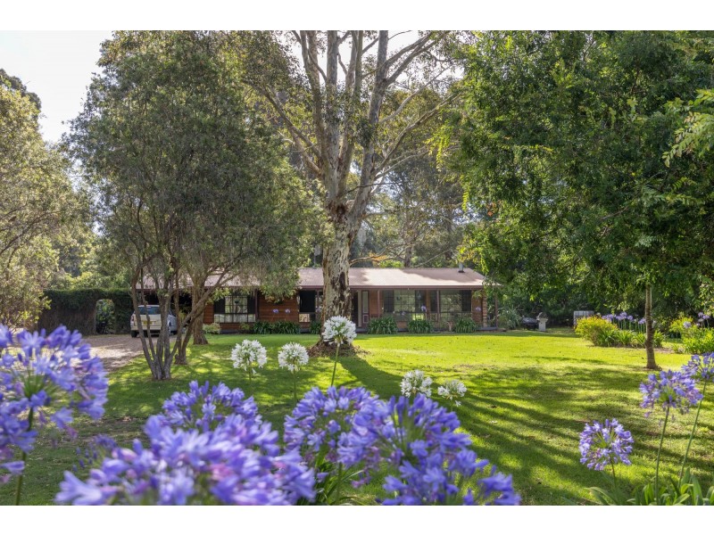 46 Voyager Crescent, Bawley Point NSW 2539