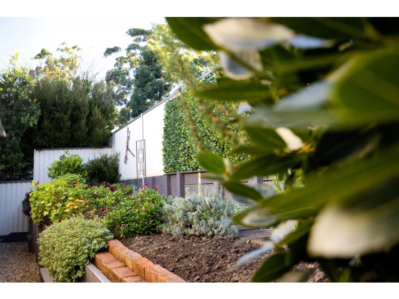 12 Black Bean Grove, Ulladulla NSW 2539