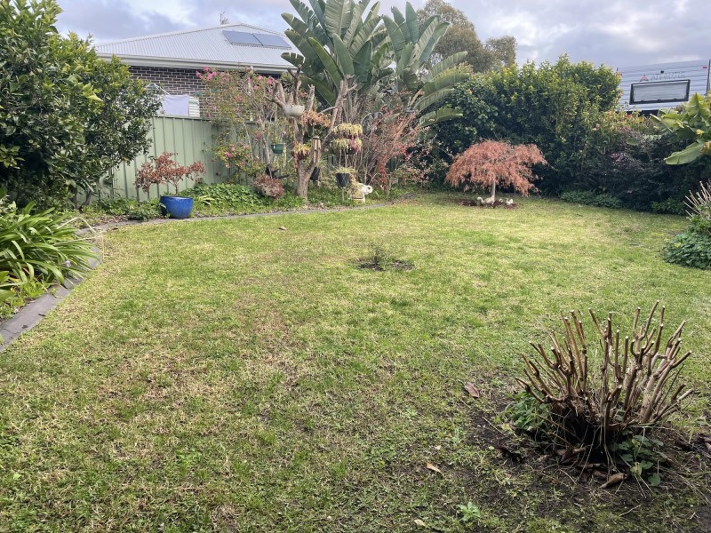 43 Tulip Oak Drive, Ulladulla NSW 2539