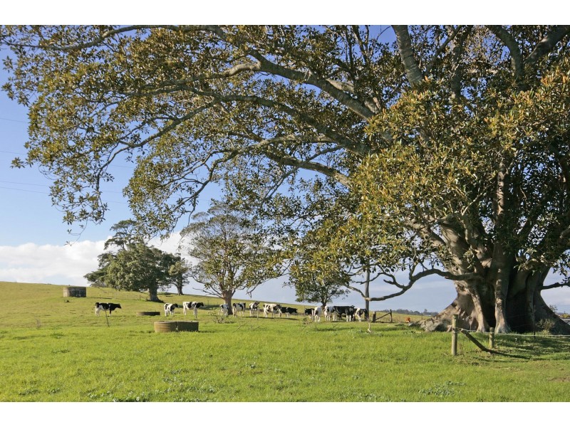 Lot 702/ Corks Lane, Milton NSW 2538