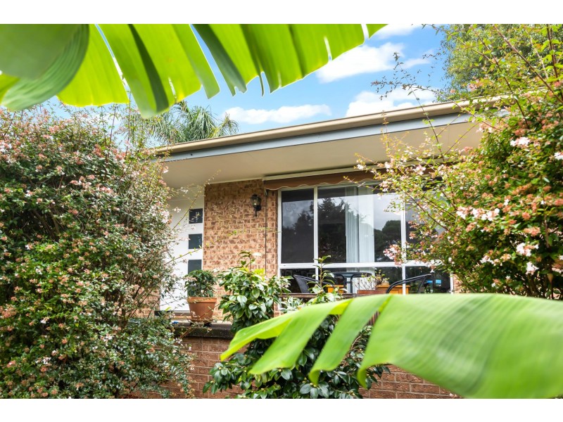 56 Timbs Street, Ulladulla NSW 2539