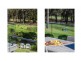 35 Clyde Street, Mollymook Beach NSW 2539