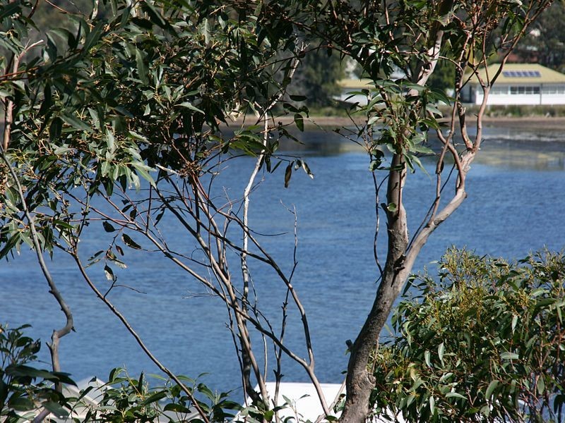 102 Canberra Crescent, Burrill Lake NSW 2539