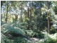 9 Colden Place, Ulladulla NSW 2539
