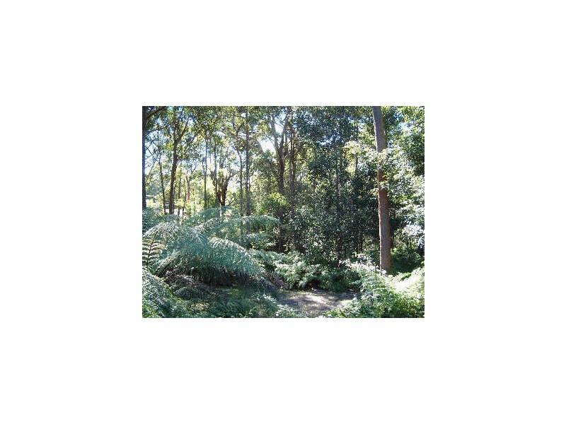 9 Colden Place, Ulladulla NSW 2539