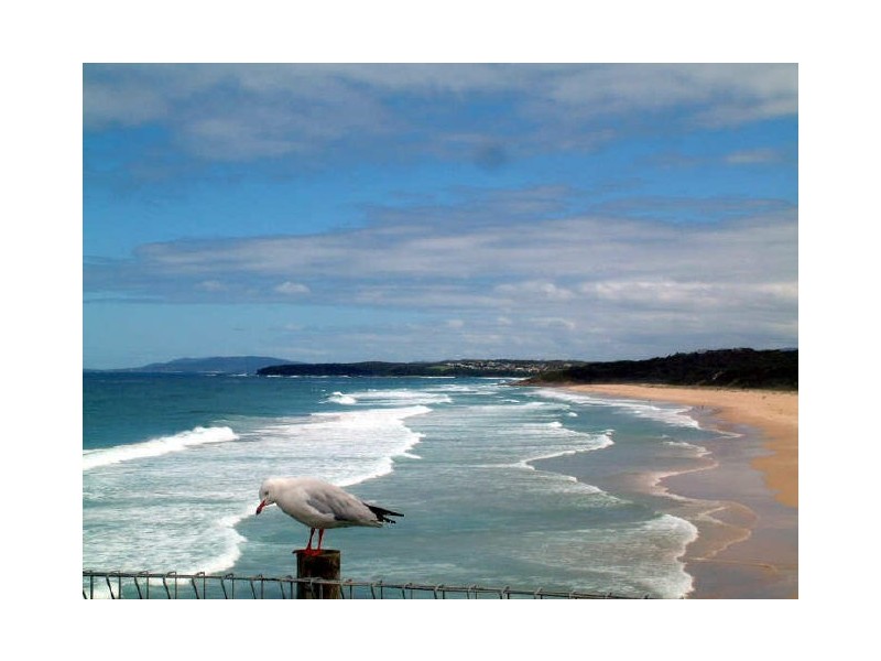 21 Brill Crescent, Ulladulla NSW 2539