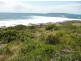 Lot 55 Harrington Crescent, Bawley Point NSW 2539