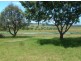 Lot 24 Milton Meadows Estate, Milton NSW 2538