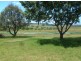 Lot 26 Milton Meadows Estate, Milton NSW 2538
