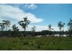 Lots 19, 20 and 21 Whitegum Road, Ulladulla NSW 2539