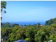 Rose Gum/White Gum Avenue, Ulladulla NSW 2539