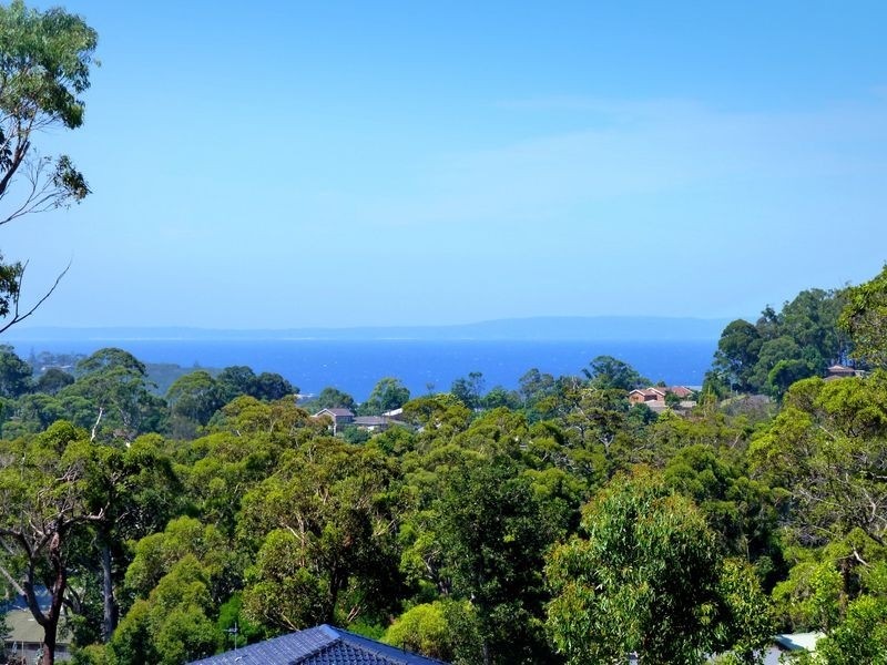 Rose Gum/White Gum Avenue, Ulladulla NSW 2539