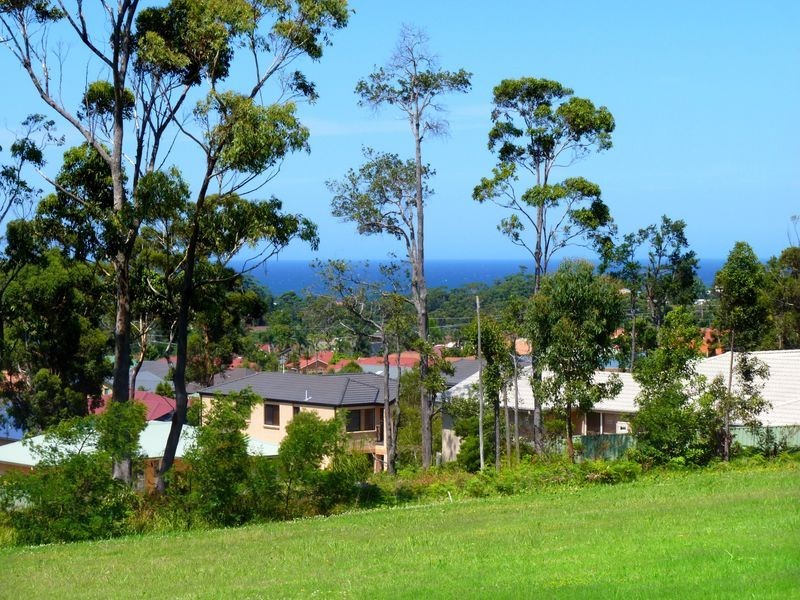Rose Gum/White Gum Avenue, Ulladulla NSW 2539