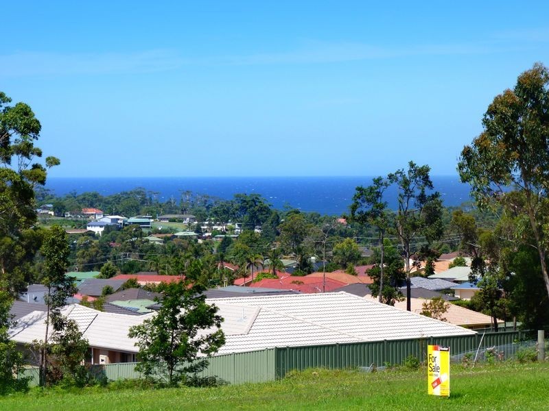Rose Gum/White Gum Avenue, Ulladulla NSW 2539