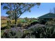 89 Croobyar Road, Milton NSW 2538