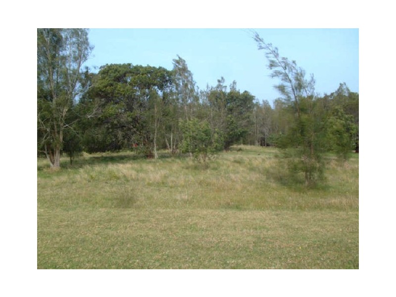 59 Voyager Crescent, Bawley Point NSW 2539