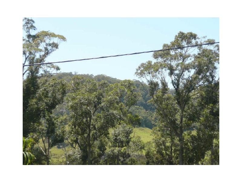 55 Anglers Parade, Fishermans Paradise NSW 2539