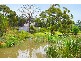 96 Bawley Point Road, Bawley Point NSW 2539