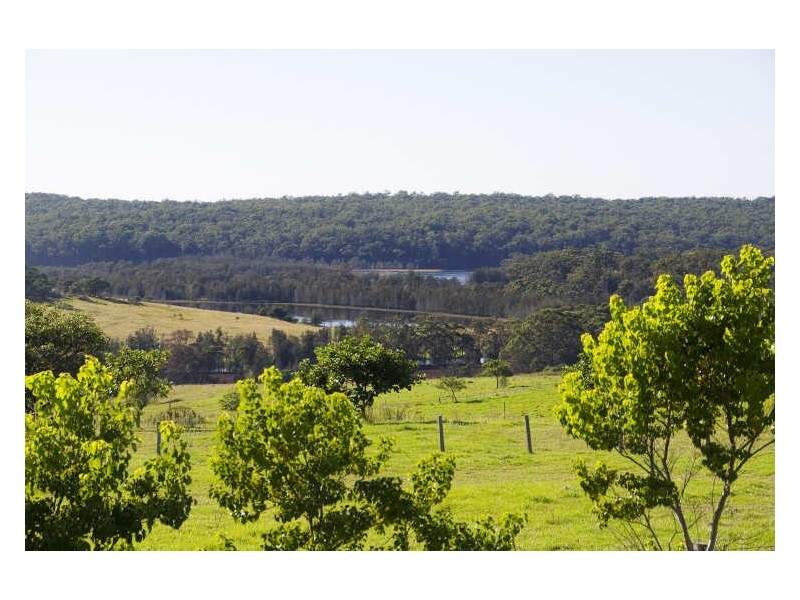 16 Hobbs Lane, Milton NSW 2538