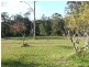 212 Bawley Point Road, Bawley Point NSW 2539