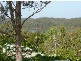 64 Cornfield Parade, Fishermans Paradise NSW 2539