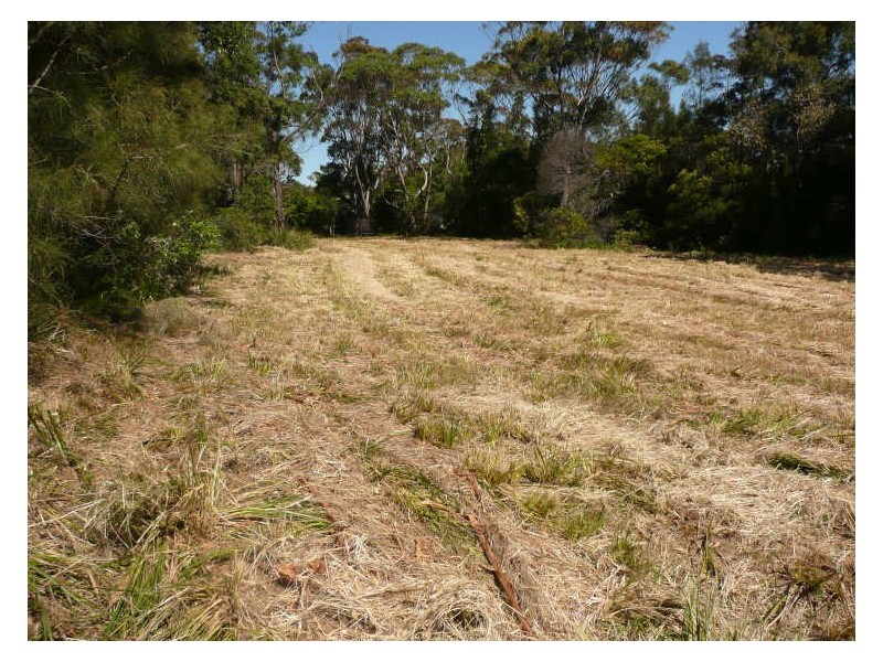 Lot 480 Tallwood Avenue, Mollymook NSW 2539