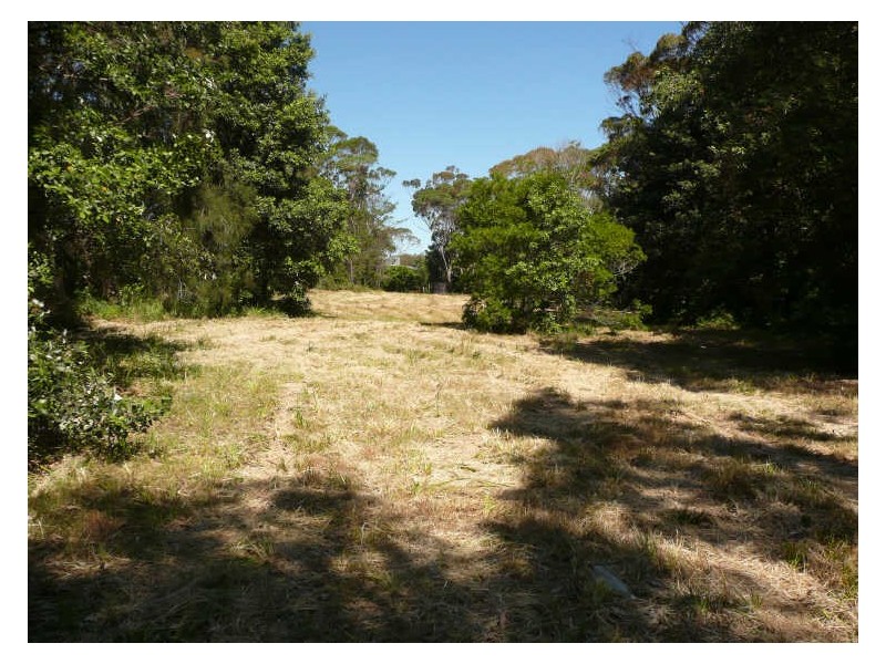 Lot 480 Tallwood Avenue, Mollymook NSW 2539