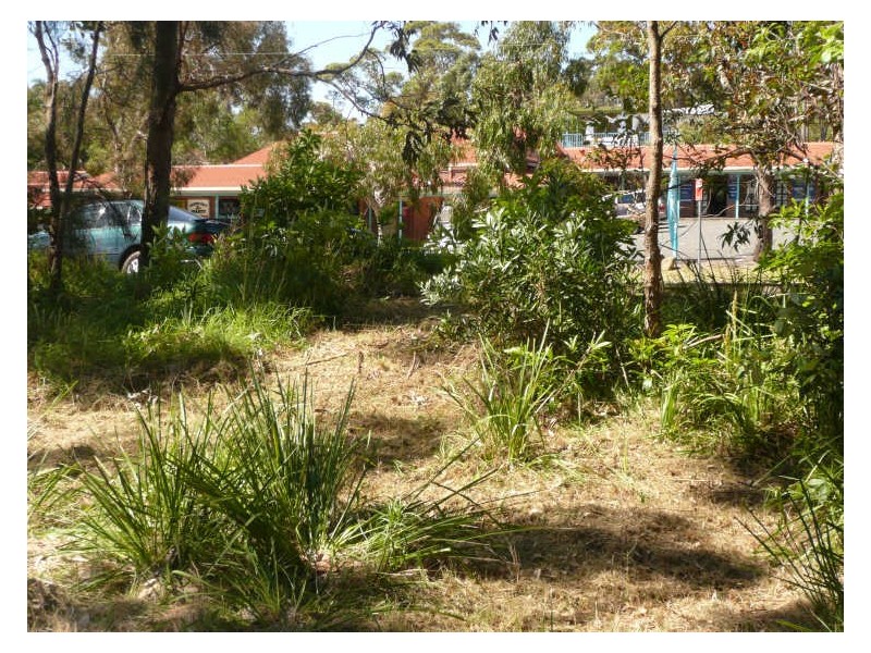 Lot 480 Tallwood Avenue, Mollymook NSW 2539
