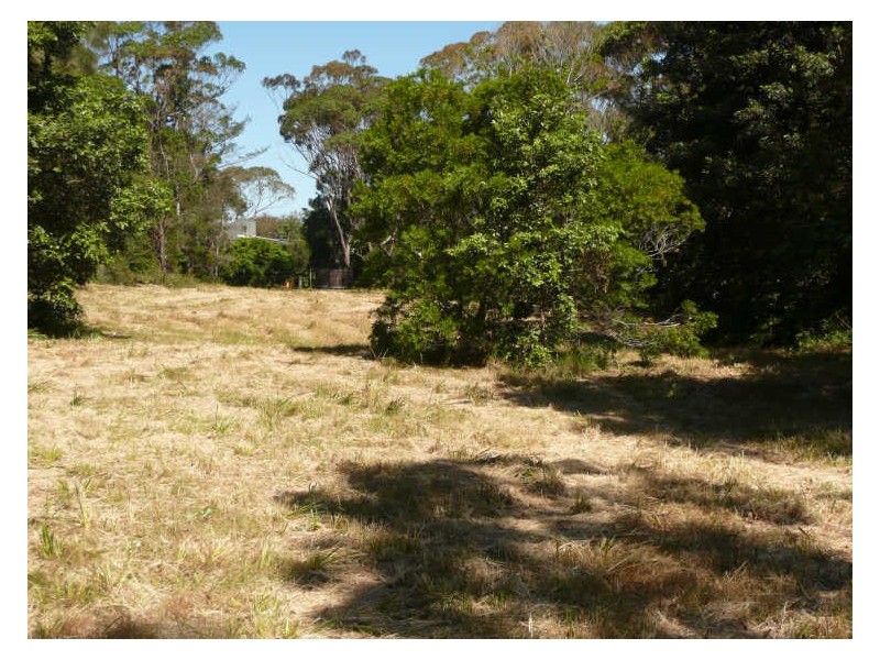 Lot 480 Tallwood Avenue, Mollymook NSW 2539