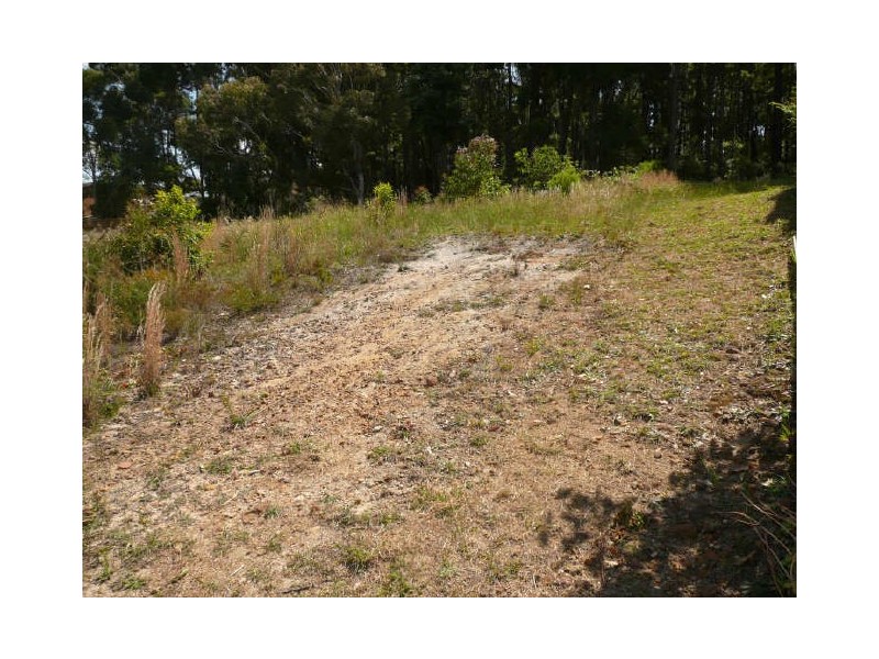 87 Leo Drive, Narrawallee NSW 2539