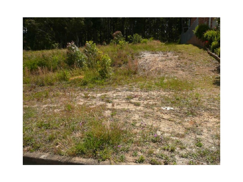 87 Leo Drive, Narrawallee NSW 2539