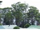 37 Kings Point Drive, Kings Point NSW 2539