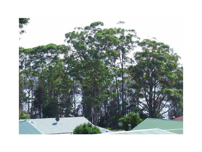 37 Kings Point Drive, Kings Point NSW 2539