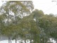 37 Kings Point Drive, Kings Point NSW 2539