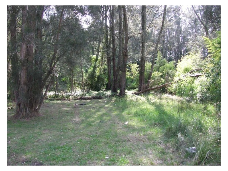 3 Lurnea Avenue, Bawley Point NSW 2539