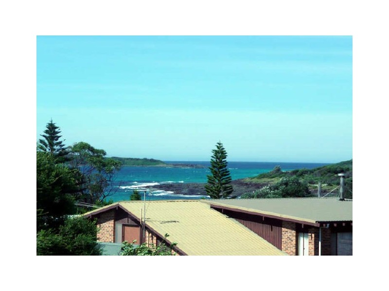 24 Harrington Crescent, Bawley Point NSW 2539