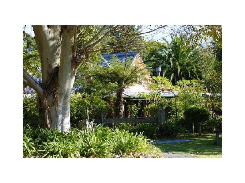 289 Old Princes Highway, Termeil NSW 2539