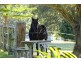 289 Old Princes Highway, Termeil NSW 2539