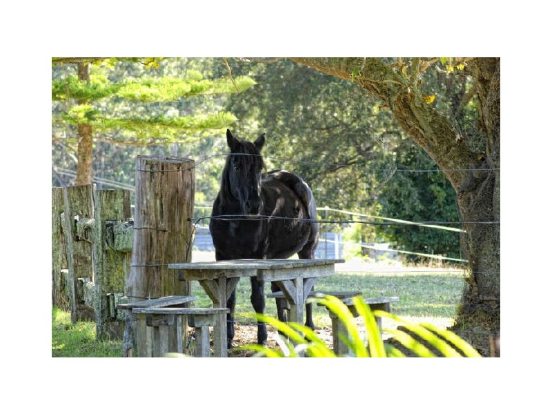 289 Old Princes Highway, Termeil NSW 2539