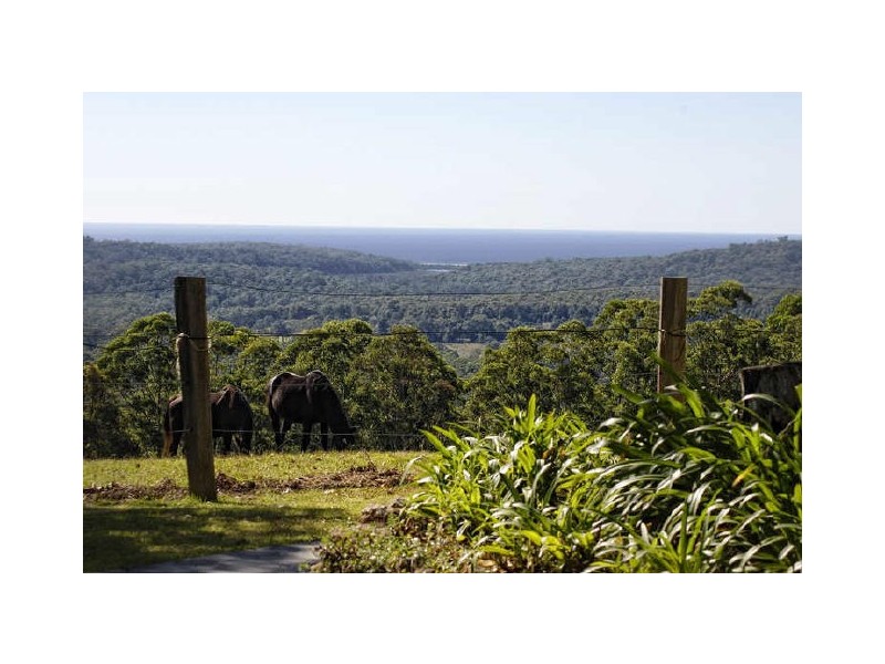 289 Old Princes Highway, Termeil NSW 2539