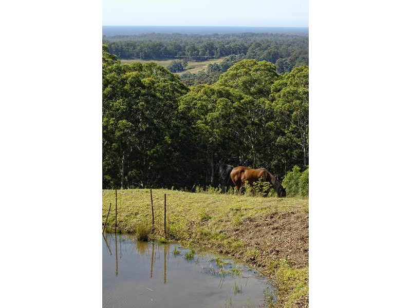 289 Old Princes Highway, Termeil NSW 2539