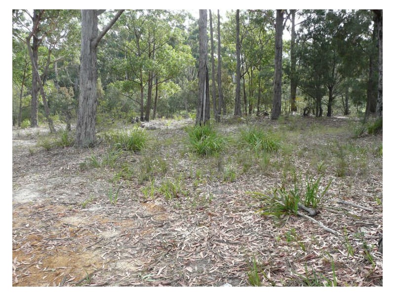 4 Orion Place, Lake Tabourie NSW 2539