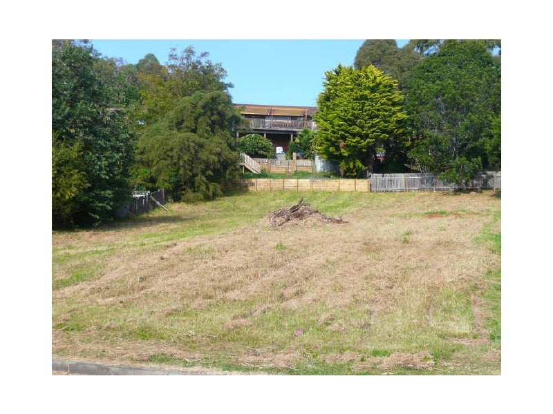 26 Buckland Street, Mollymook NSW 2539