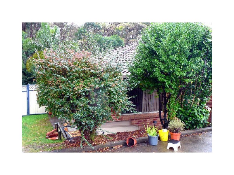 22 Village Drive, Ulladulla NSW 2539