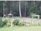 91 Myrtle Gully Road, Conjola NSW 2539