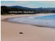 636 Murramarang Road, Kioloa NSW 2539