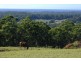 289 Old Princes Highway, Termeil NSW 2539
