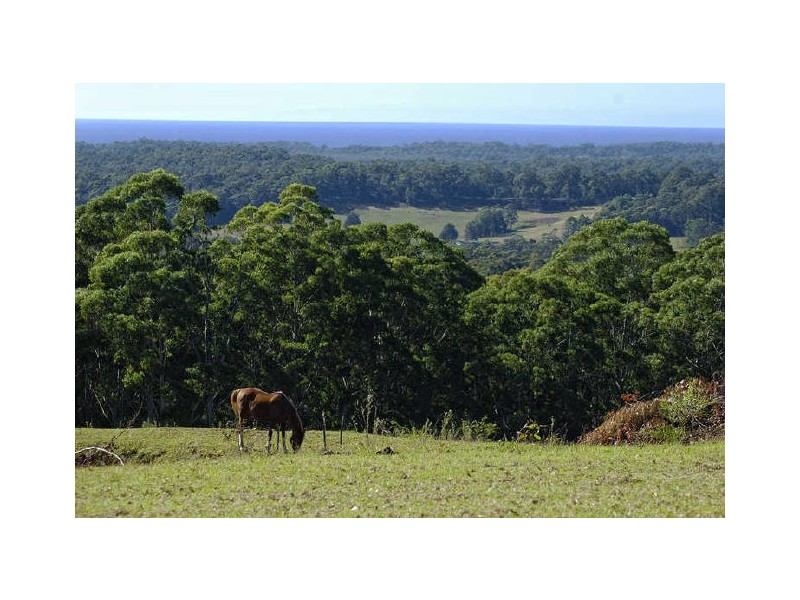 289 Old Princes Highway, Termeil NSW 2539